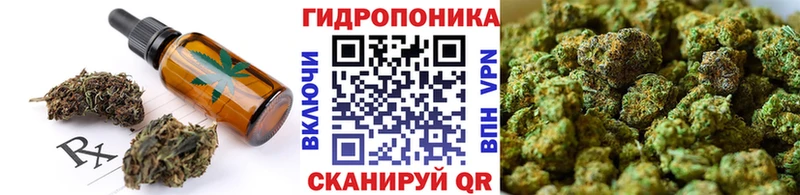 Cannafood конопля  где купить   Козьмодемьянск 
