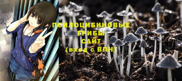 ГАЛЛЮЦИНОГЕННЫЕ ГРИБЫ Арсеньев
