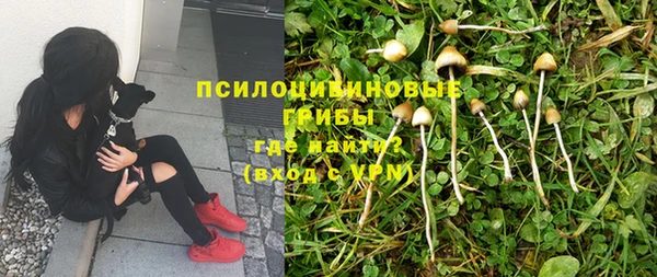 дмт Аркадак
