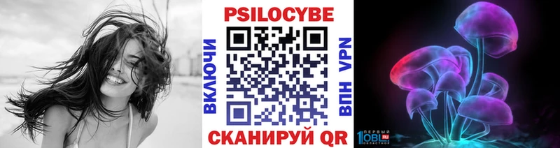 kraken как зайти  Козьмодемьянск  Галлюциногенные грибы Magic Shrooms 